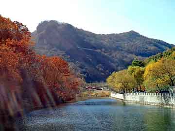 澳门二四六天天彩图库，电木机